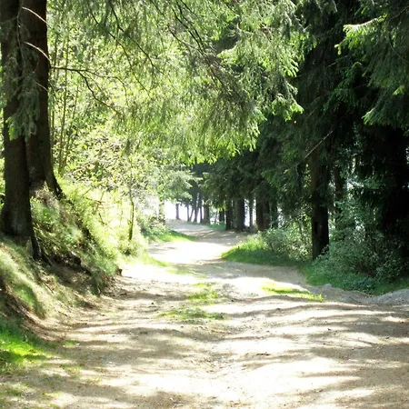In Bullingen For 6 Person, Cleaning Included *